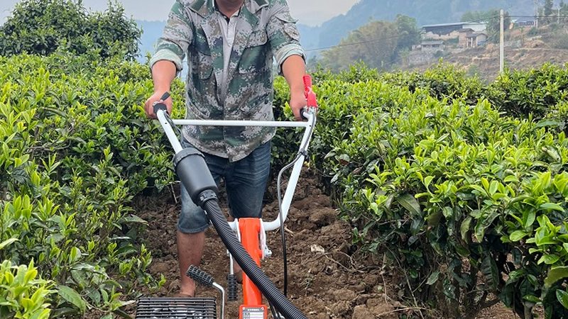 河南大型播种机报价背后的考量因素**