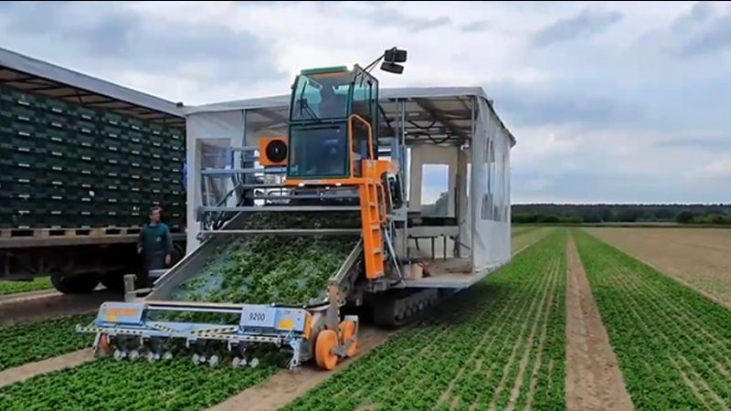 水稻脱粒机风量参数调整的关键技巧**